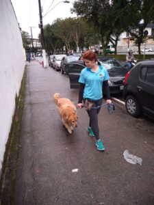 IMG-20190923-WA0012